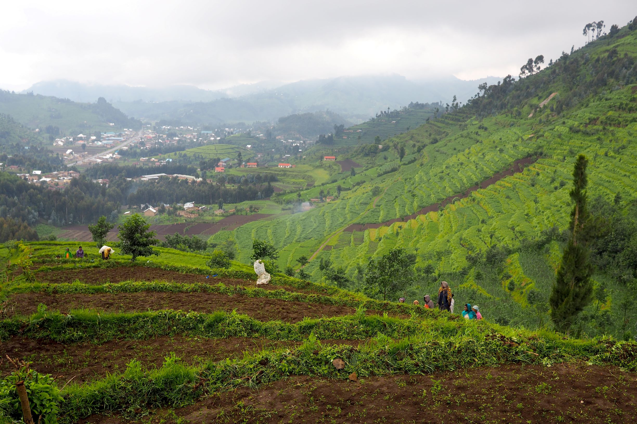Psychoeducation for patients with Bipolar Disorder in Rwanda.jpg
