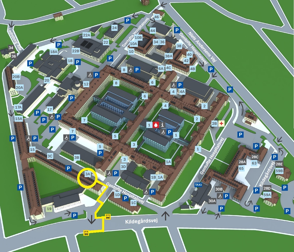 Kort over Gentofte Hospital med gule streger, der viser vej fra busstoppestederne på Kildegårdsvej til Forskningsenheden i 3A, 1. sal.