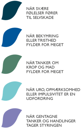 Fem spor.PNG
